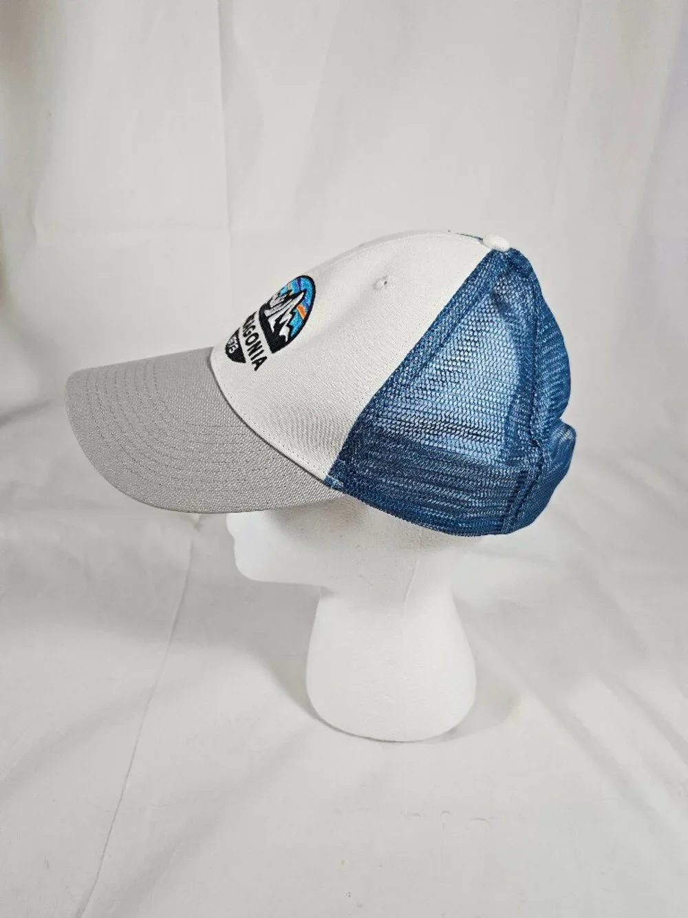 Patagonia 1973 Trucker's Hat White Blue Adjustable Snapback